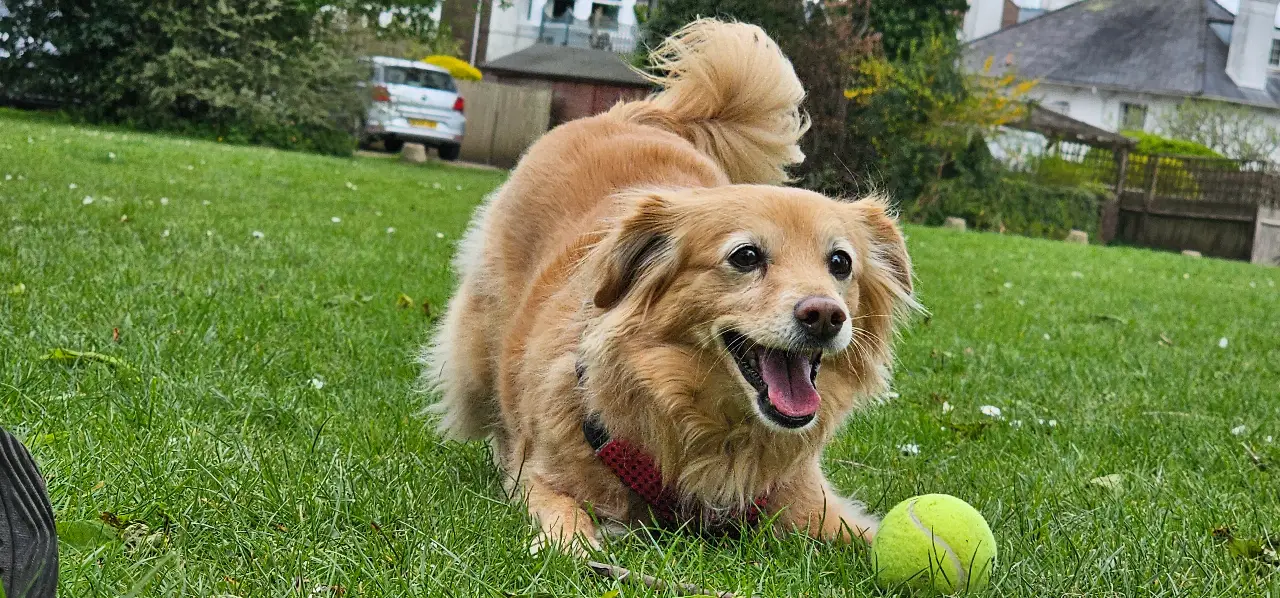 LOOK HOW HAPPY NAGA LOOKS AHHHH