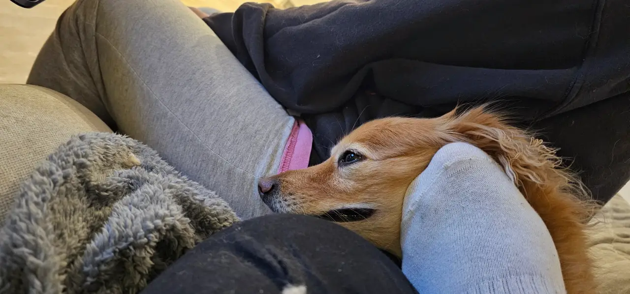 Naga refused to sit away from us. Look at that stretched face!
