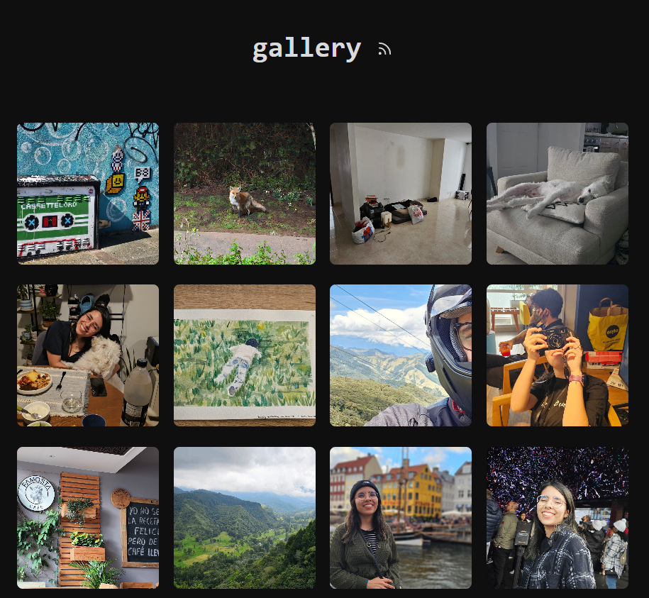 Image of my website’s gallery