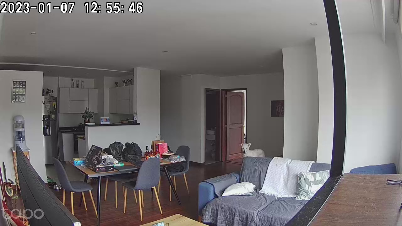 A security camera image of my apartment with a dog called Saki raising her ears.