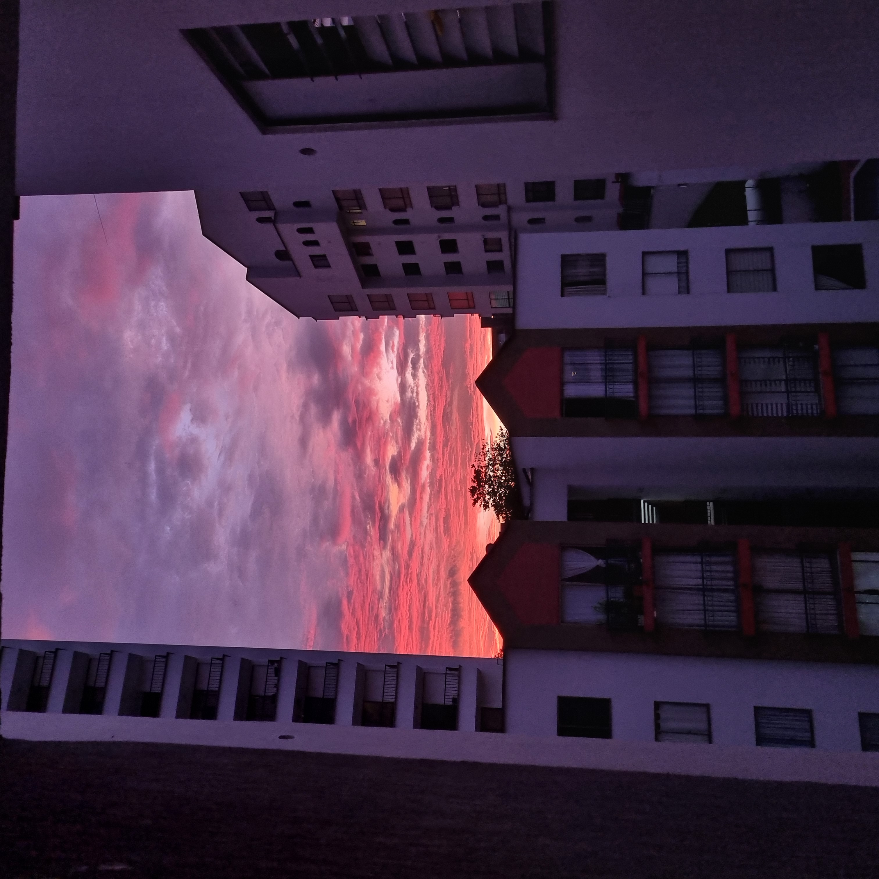 View of the sky at sunset. Purple and pink tones can be seen in the clouds that show between apartment buildings.