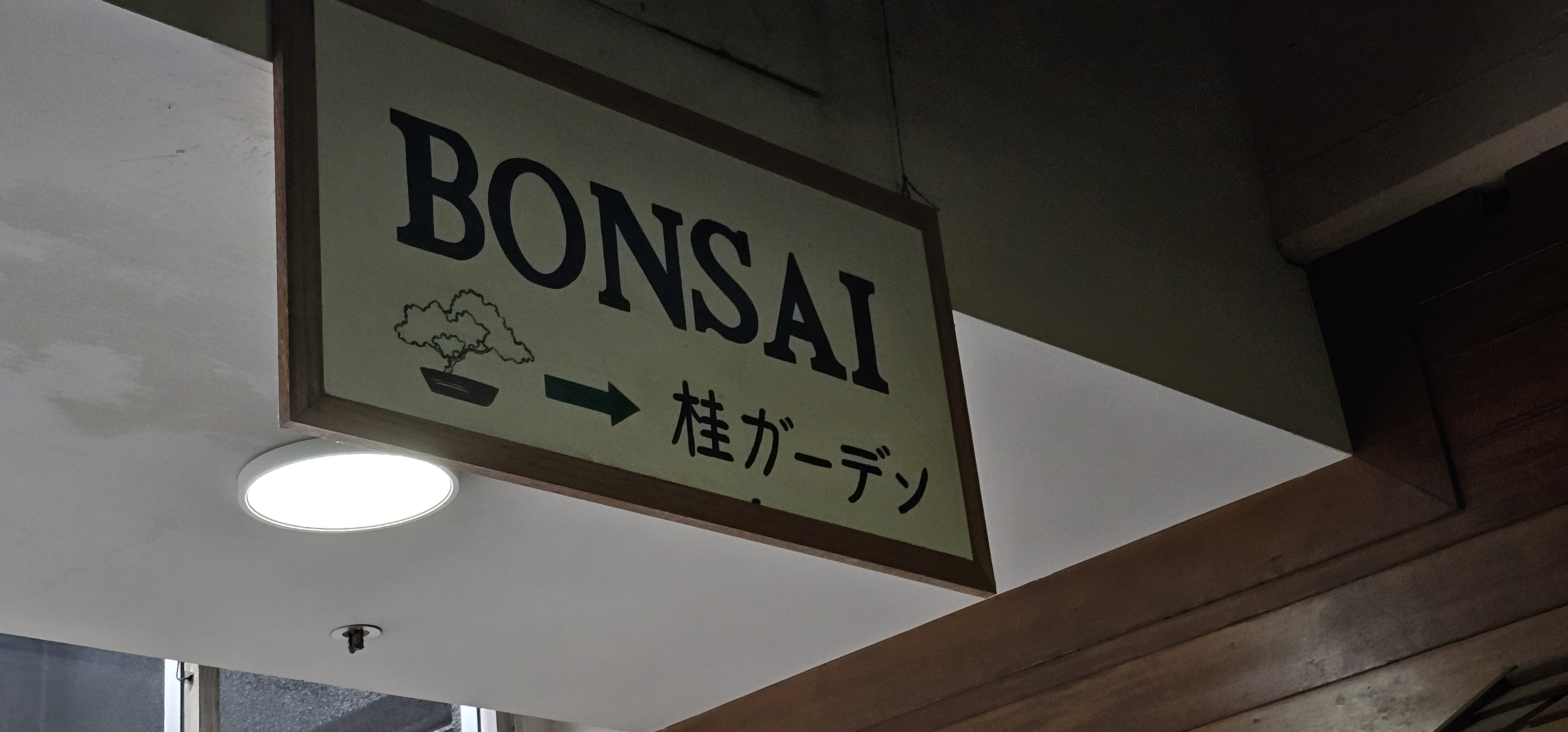 Picture of a sign at a store with the word Bonsai written in the middle.