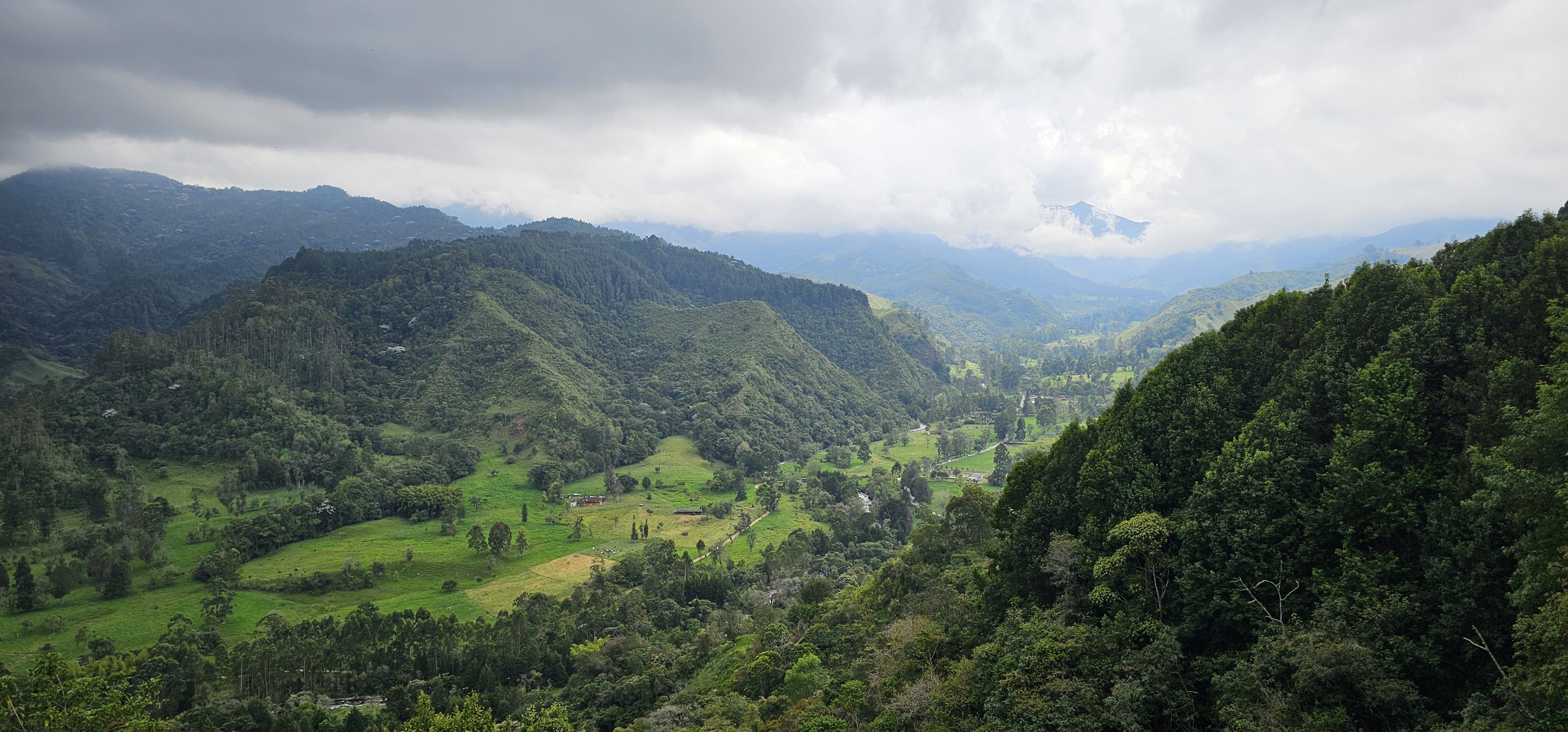 Picture of the Cocora&rsquo;s Valley in Salento Colombia