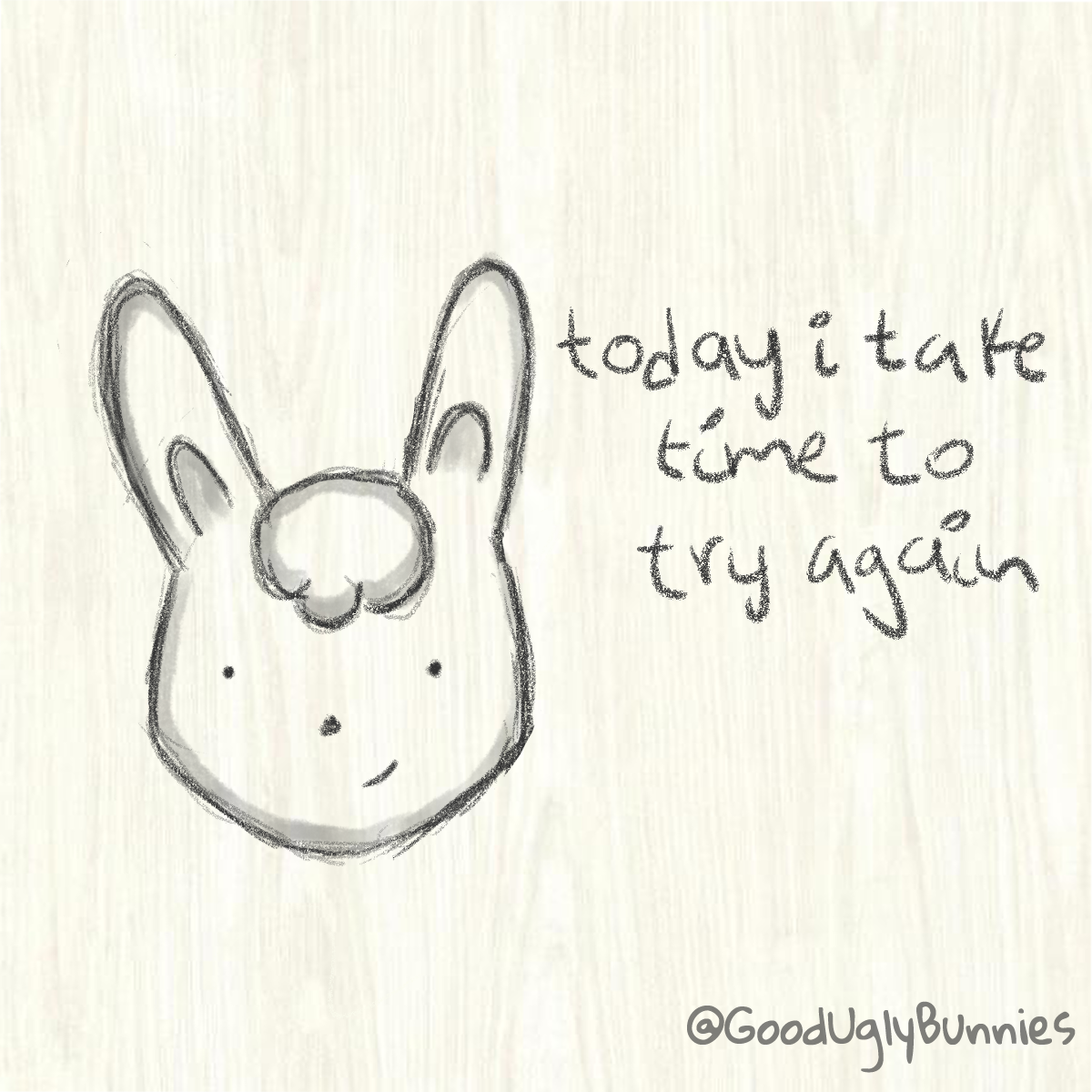 Image of ugly bunny with the phrase &ldquo;today i take time to try again&rdquo; written on top of it.